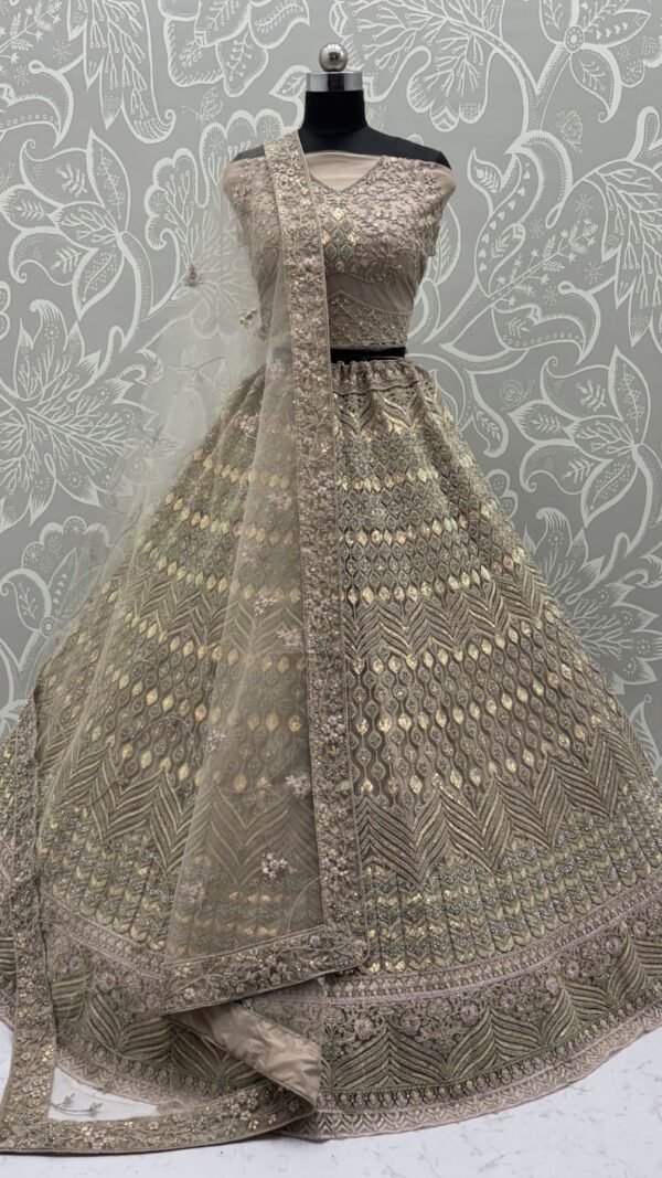 Playful Beige Net Traditional Lehenga Choli – 60556-2904-D