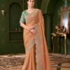 Playful Salmon Georgette Traditional Saree – 61295-208