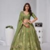 Dynamic Green Banarsi Silk Classic Lehenga Choli – 61376-2151Mehendi