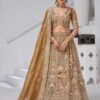 Fabulous Green Organza Tissue Classic Lehenga Choli – 61376-2156Mehendi