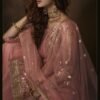 Polished Pink Soft Net Palazzo Salwar Kameez – AD-NS1-4201