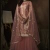 Polished Pink Soft Net Palazzo Salwar Kameez – AD-NS1-4201