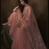 Polished Pink Soft Net Palazzo Salwar Kameez – AD-NS1-4201