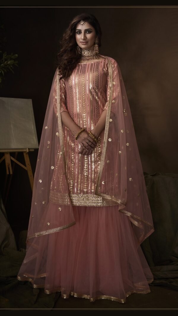 Polished Pink Soft Net Palazzo Salwar Kameez – AD-NS1-4201